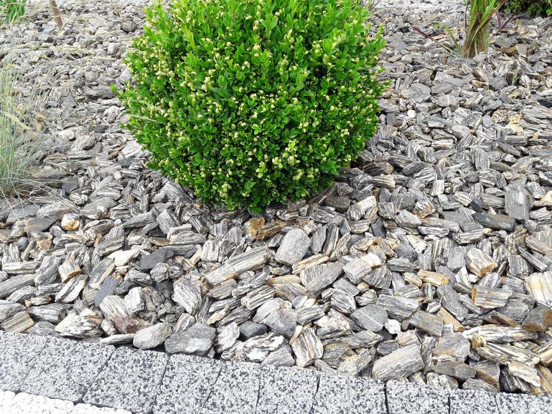 Kora kamienna w ogrodzie