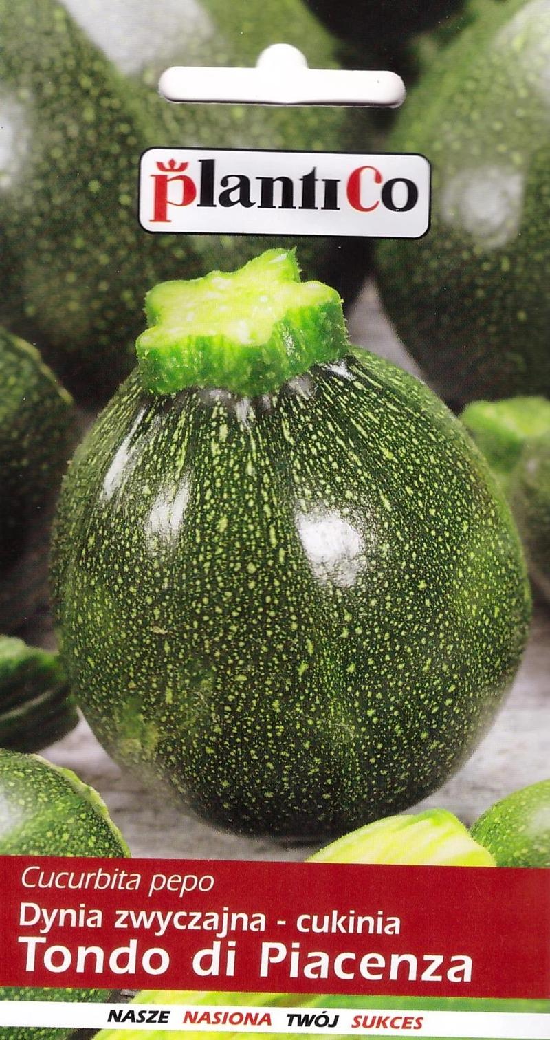 Pielęgnacja cukinii