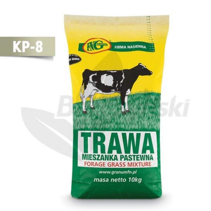 Jaką trawę wybrać do ogrodu? Oto najlepsze mieszanki traw dla Twojej przestrzeni!