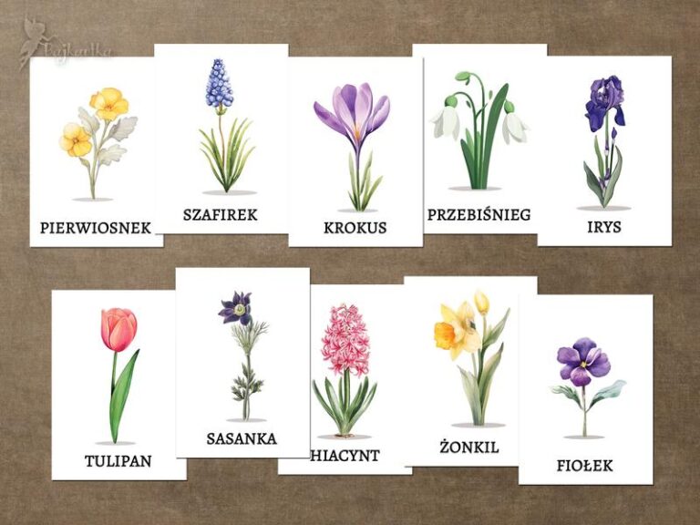 Najpiękniejsze wiosenne rośliny kwitnące – jakie gatunki warto wybrać?